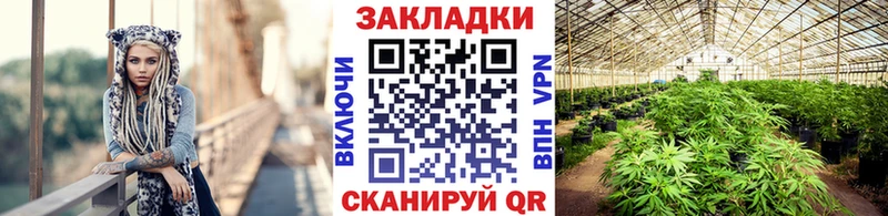 Где продают наркотики Сосновка ЭКСТАЗИ Галлюциногенные грибы ГАШИШ Каннабис Мефедрон A PVP