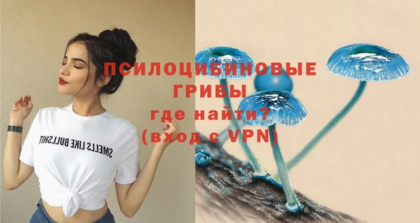 гидропоника Арсеньев