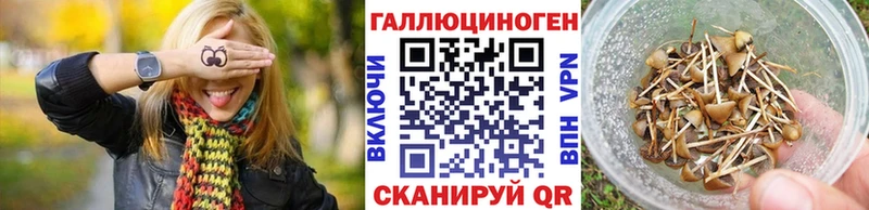 Псилоцибиновые грибы Cubensis  Сосновка 